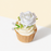 Rosie Cupcakes 6pcs
