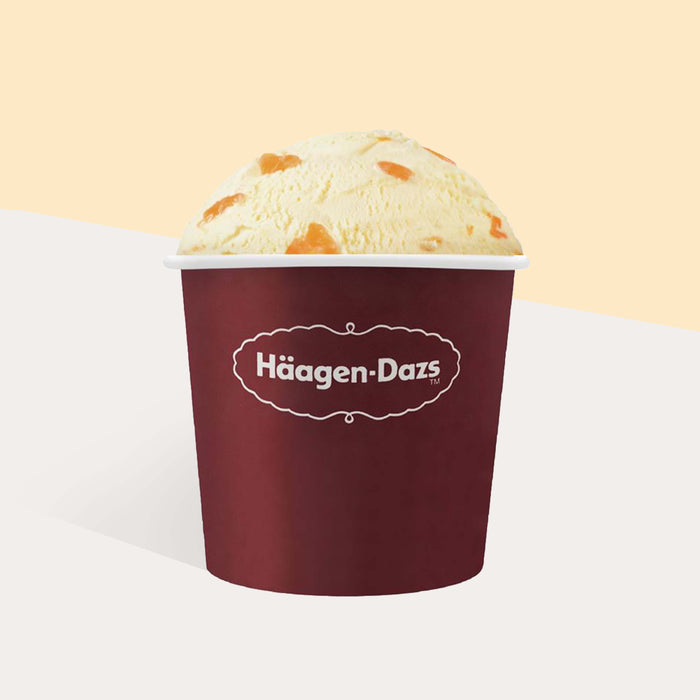 Handpacked Ice Cream Pint 1