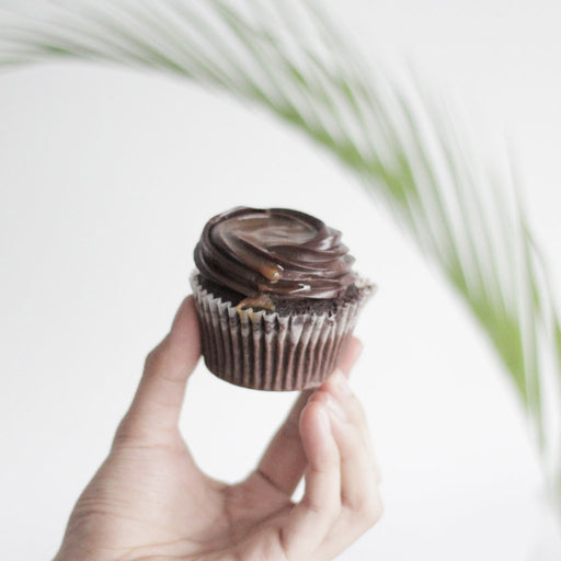 Chocolate cupcakes with chocolate ganache