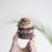 Chocolate hazelnut cupcakes with chocolate cream, and toasted hazelnuts