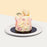 Pastel coloured buttercream cake, with hand piped flower petals and paint strokes, with two macarons on top
