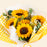 Dolly Bouquet (Fresh Flower) - Cake Together - Online Birthday Cake Delivery