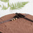 Chocolate Hazelnut Fudge 9 inch - Cake Together - Online Birthday Cake Delivery