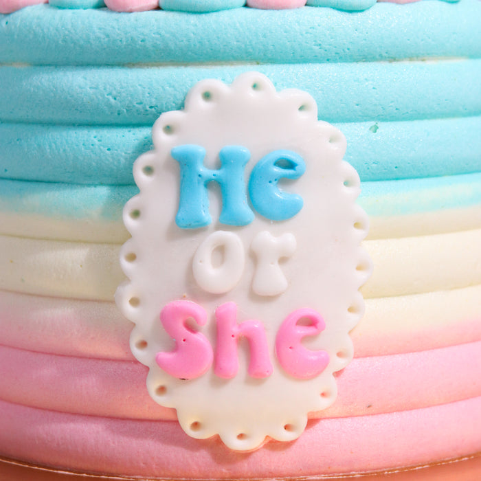 Gender Reveal (Teddy) - Cake Together - Online Birthday Cake Delivery