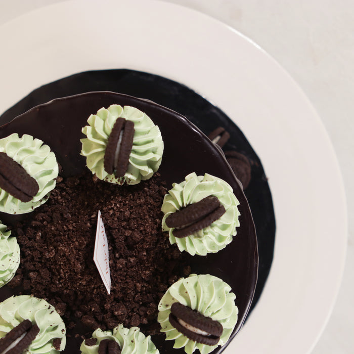 Chocolate Mint With Cookies and Cream 6 inch