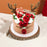 Rudolf the Red Nose Reindeer