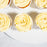 Vanilla Cupcakes