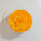 Mango Paradise - Cake Together - Online Birthday Cake Delivery