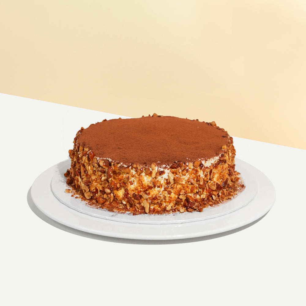 Tiramisu cake coated with caramelized almonds, dusted with cocoa powder