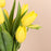 Yellow Tulip in Jar - Cake Together - Online Flower Delivery