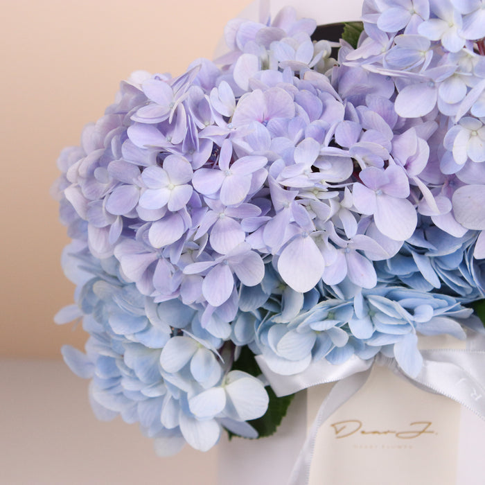 Kotak Topi Hydrangea