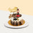 Graduation themed cake for female