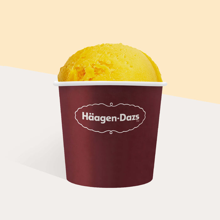 Handpacked Ice Cream Pint 1