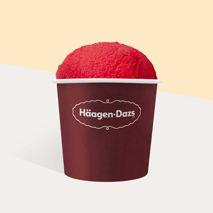 Handpacked Ice Cream Pint 1