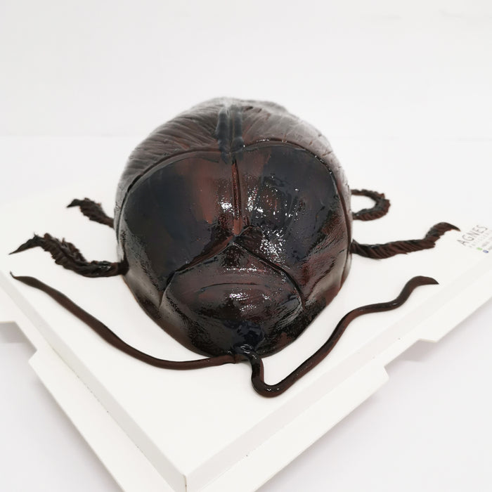 The Disgusting Cockroach 9 inch - Cake Together - Online Birthday Cake Delivery