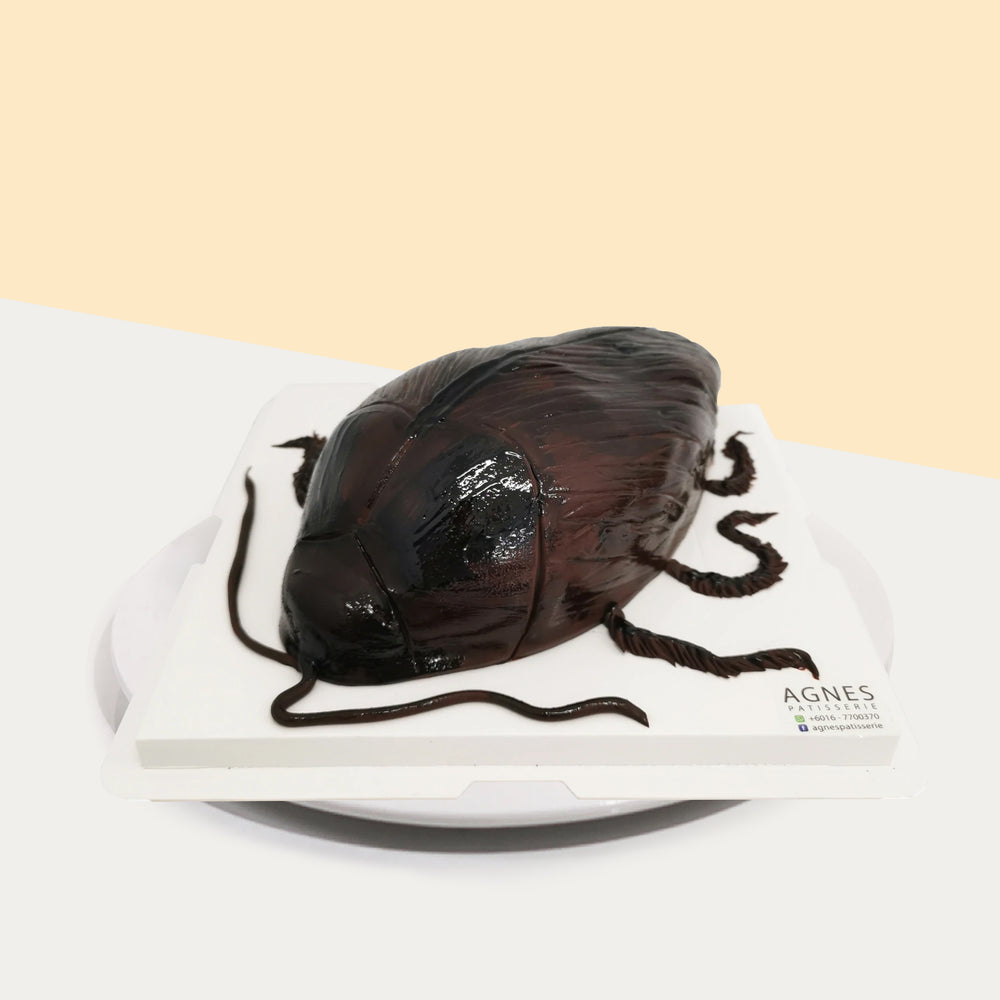 The Disgusting Cockroach 9 inch - Cake Together - Online Birthday Cake Delivery